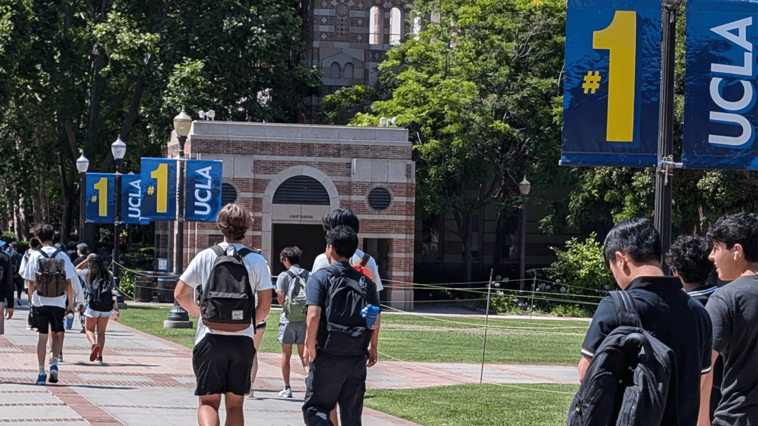 University of Michigan/UCLA Combo